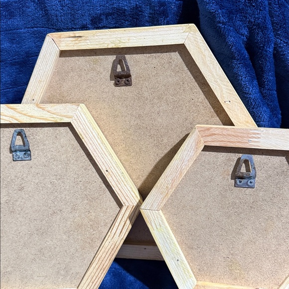 Hexagonal Framed Moss Wall Art Trio - Green and Natural Tones - Picture 9 of 9